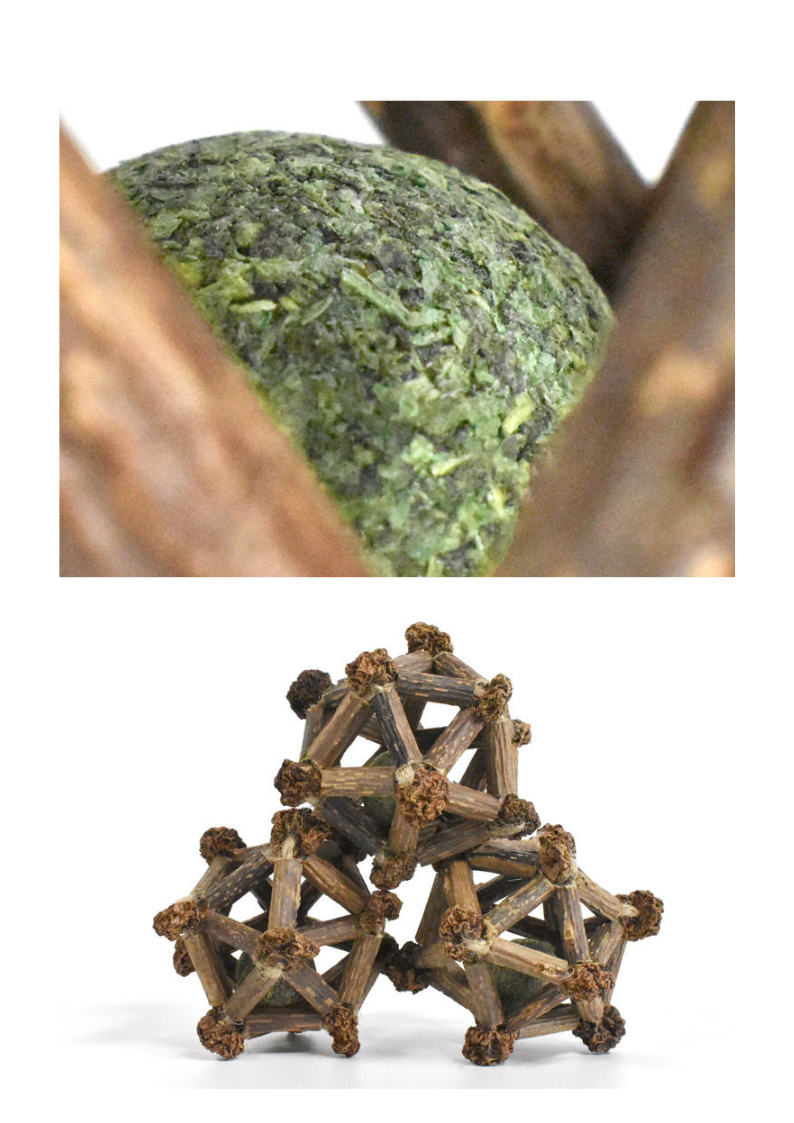 Silvervine Twelve Pointed Star-5