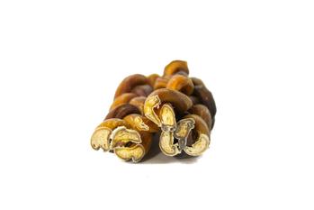6" Braided Bully Stick-4