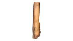 6" Monster Bully Stick-2