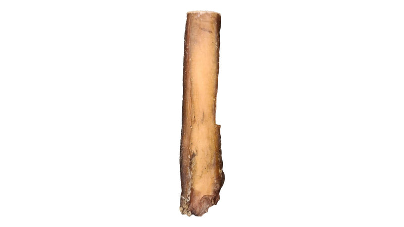 6" Monster Bully Stick-2