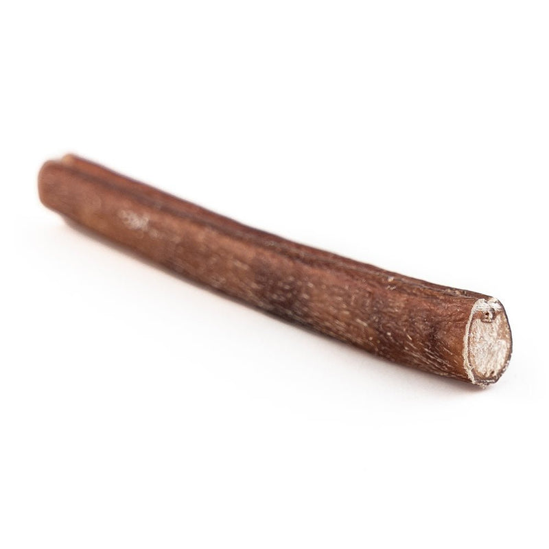 6" Standard Bully Stick-2