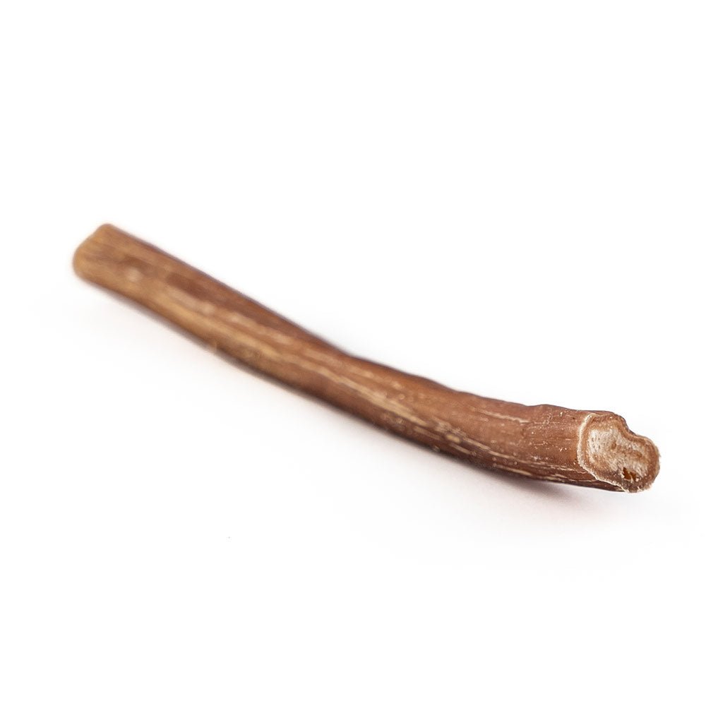 6" Thin Bully Stick-2