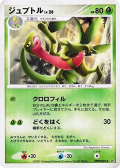 [JP] Grovyle  - DP4 Dawn Dash-1
