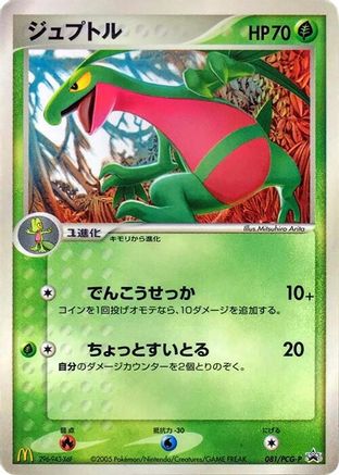 [JP] Grovyle - 081/PCG-P (081/PCG-P) - PCGP Promotional cards-1