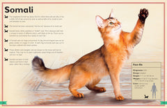 Insight Editions - The Magnificent Book of Cats - Ages 6+-4