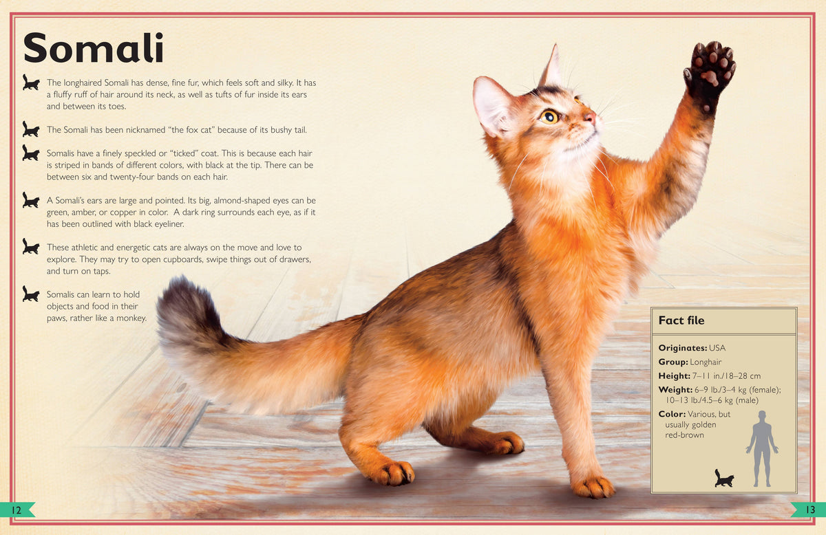 Insight Editions - The Magnificent Book of Cats - Ages 6+-4