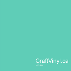 Oracal 651 Glossy Mint Vinyl #055 sheets and rolls-3