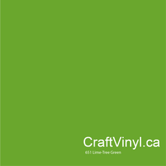 Oracal 651 Glossy Lime Tree Green Vinyl #063 sheets and rolls-2