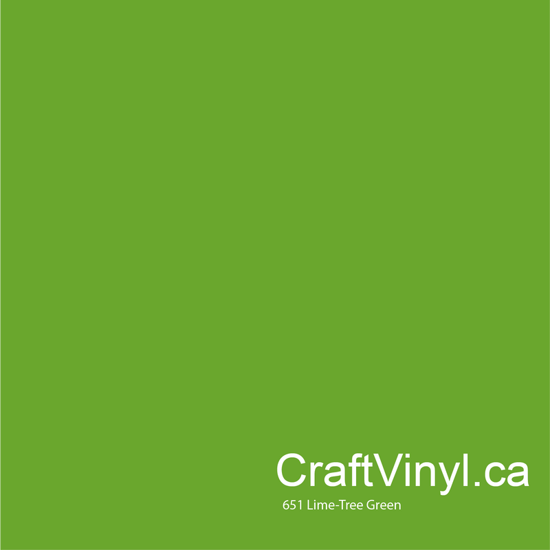 Oracal 651 Glossy Lime Tree Green Vinyl #063 sheets and rolls-2