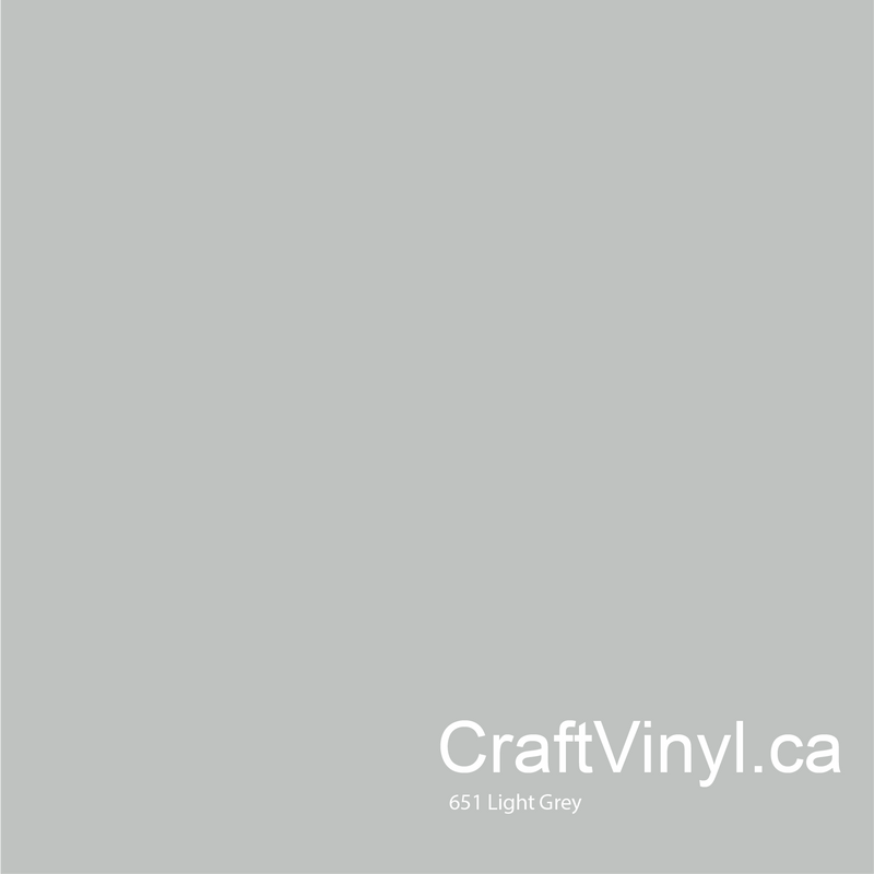 Oracal 651 Glossy Light Grey Vinyl #072 sheets and rolls-2