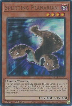 Splitting Planarian (MP25-EN263) - 2025 Mega-Pack 1st Edition-1