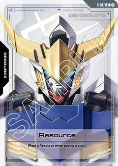 Resource (R-017) (R-017) - Dual Impact-1