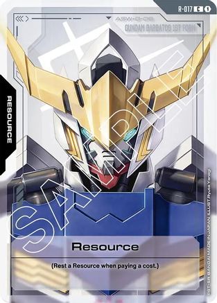 Resource (R-017) (R-017) - Dual Impact-1