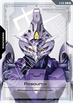 Resource (R-019) (R-019) - Dual Impact-1