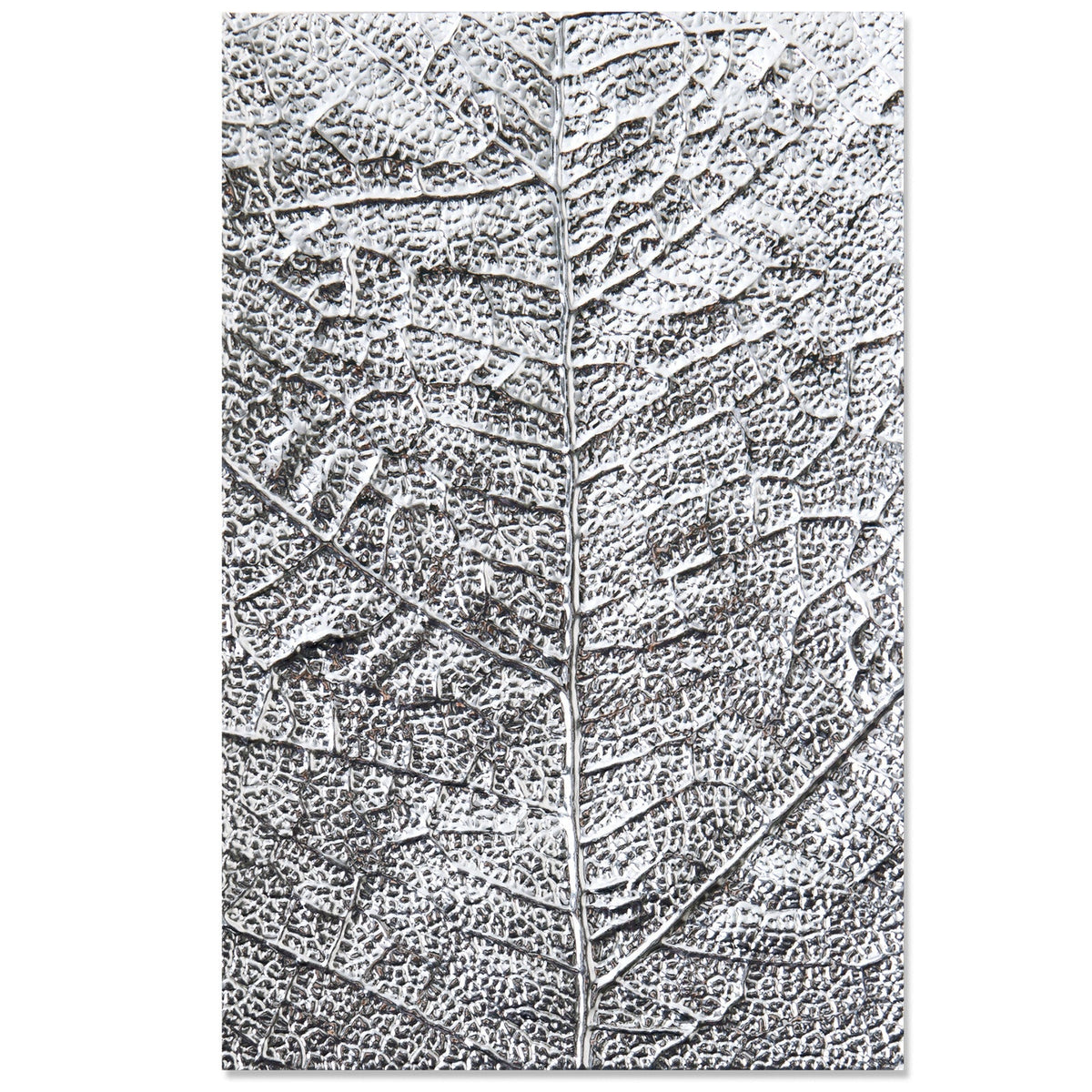 Sizzix 3-D Textured Impressions Embossing Folder - Leaf Veins-2
