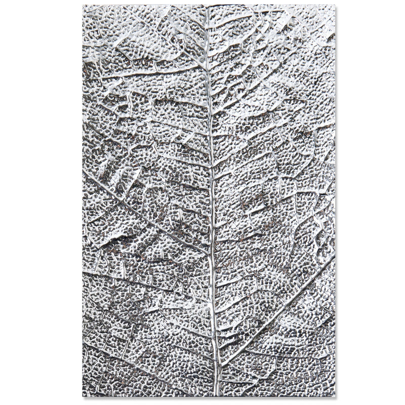 Sizzix 3-D Textured Impressions Embossing Folder - Leaf Veins-2