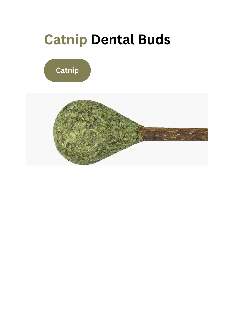 Catnip / Silvervine Dental Buds-6