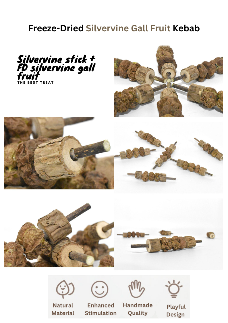 Freeze Dried Silvervine Gall Fruit Toys-6
