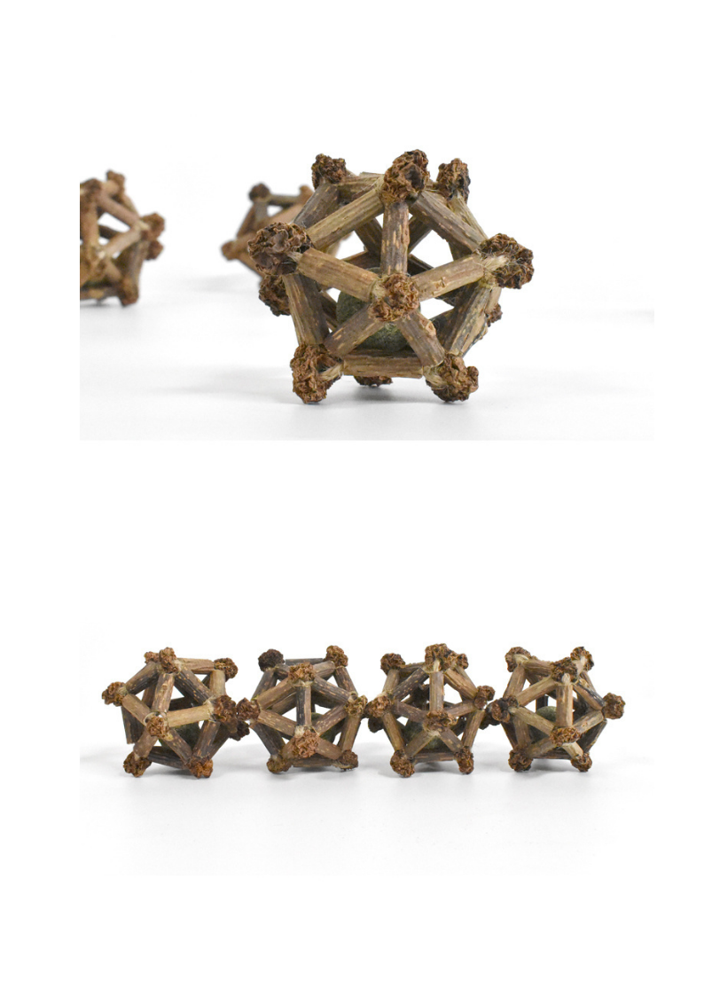 Silvervine Twelve Pointed Star-6