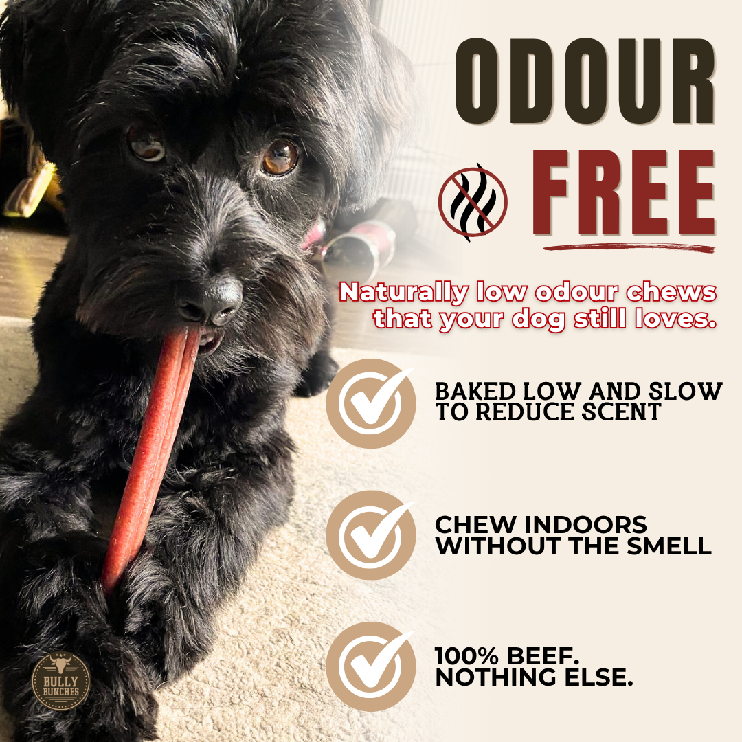 6 Inch Standard Bully Stick-6