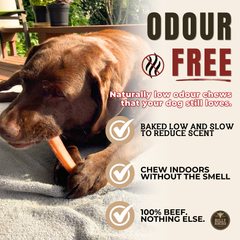 6 Inch Jumbo Bully Stick-4