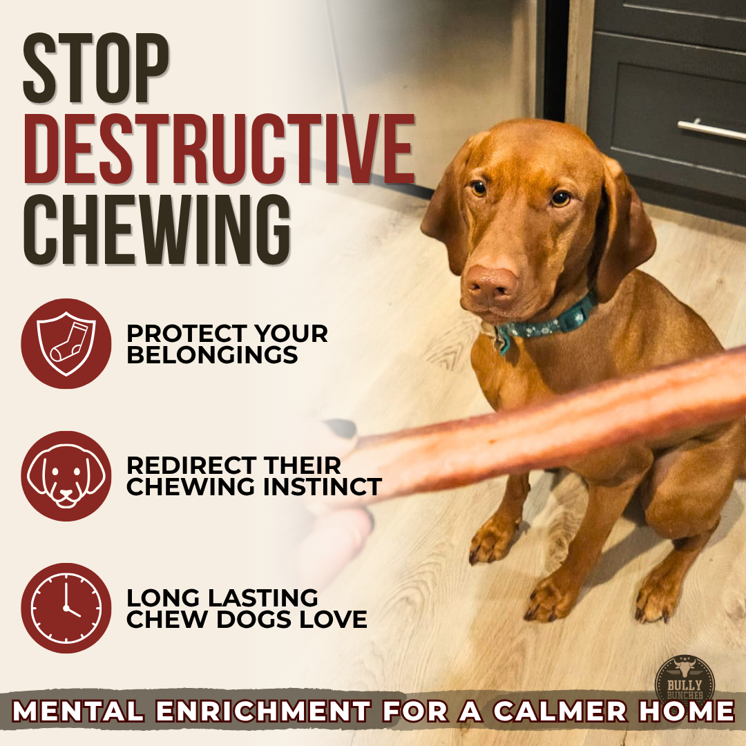 6 Inch Jumbo Bully Stick-6