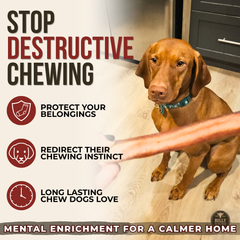 6 Inch Jumbo Bully Stick-6