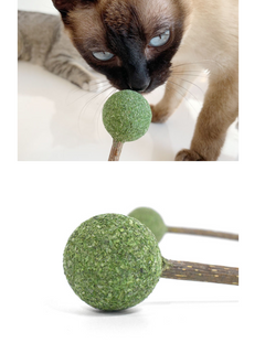 Catnip / Silvervine Lollipop-6
