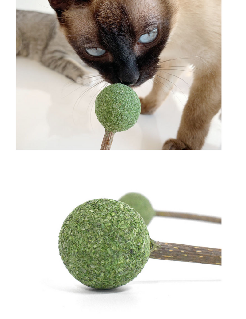 Catnip / Silvervine Lollipop-6