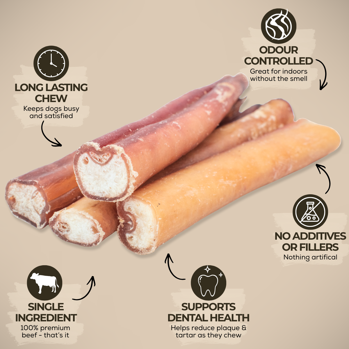 6 Inch Jumbo Bully Stick-3