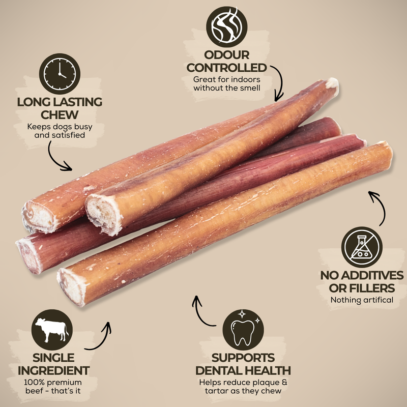 6 Inch Standard Bully Stick-3