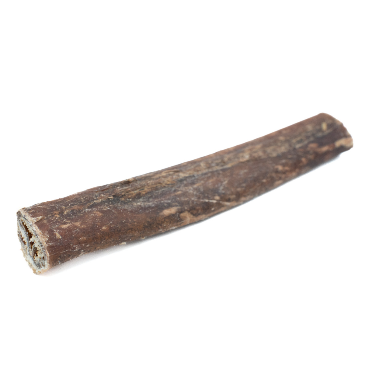 5-6 Inch Champion Chew-13
