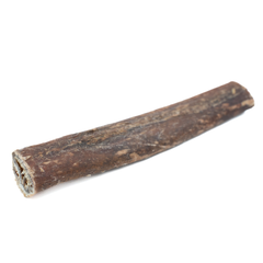 5-6 Inch Champion Chew-13