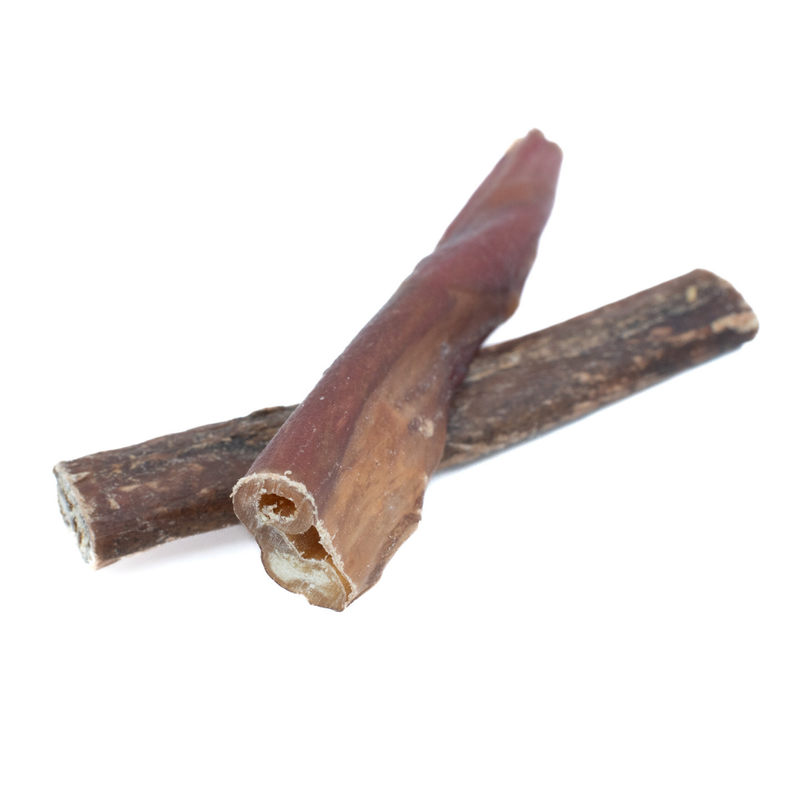 5-6 Inch Champion Chew-10