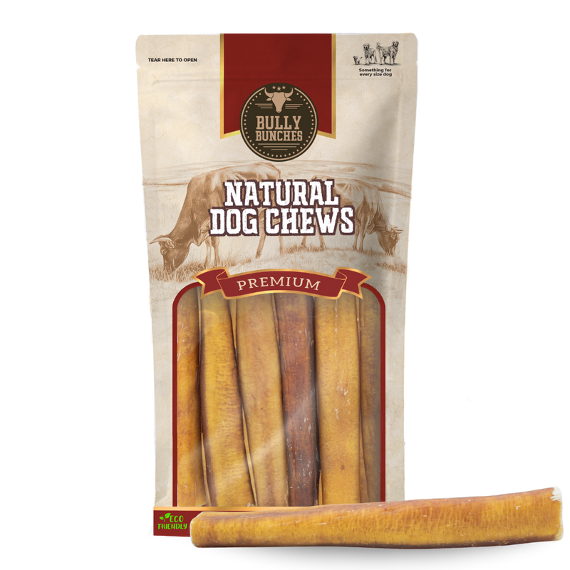 6 Inch Jumbo Bully Stick-1