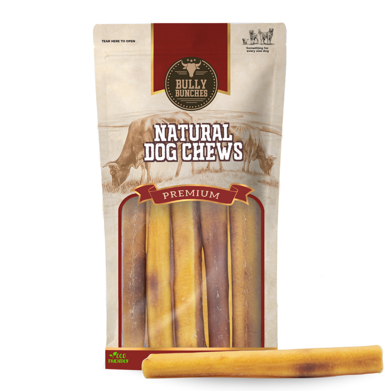 6 Inch Thick Bully Stick-1