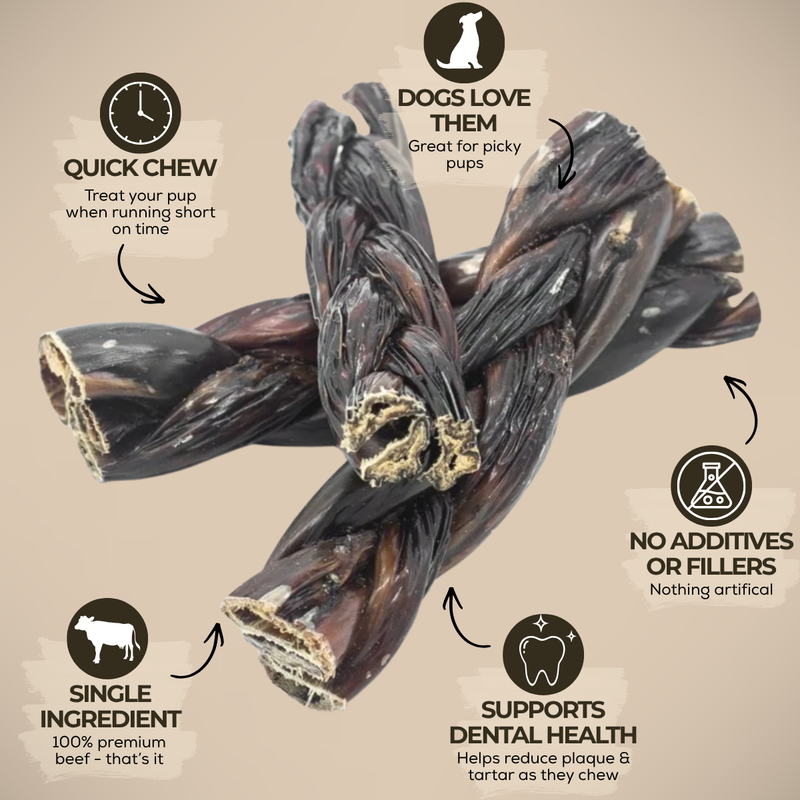 6 Inch Braided Jerky Stick-3