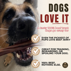 6 Inch Beef Jerky Stick-4