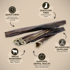 6 Inch Beef Jerky Stick-3