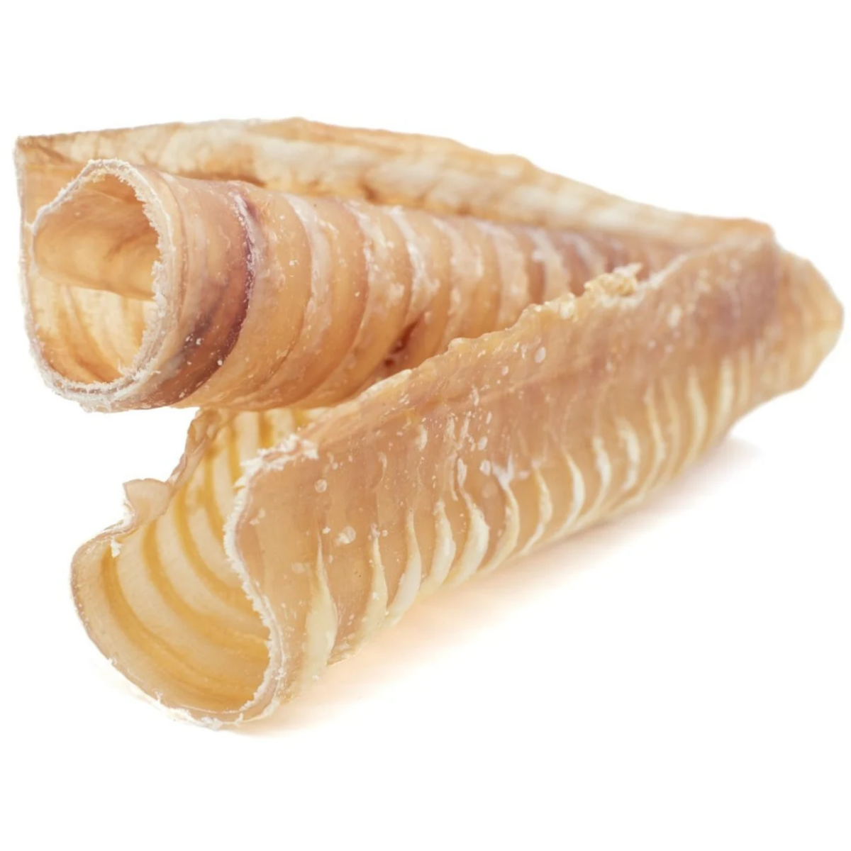 6 Inch Beef Trachea-8
