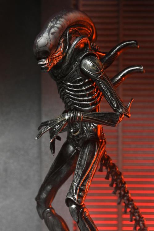 Alien: Romulus Ultimate Xenomorph XX121-3