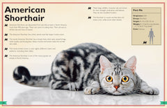 Insight Editions - The Magnificent Book of Cats - Ages 6+-5