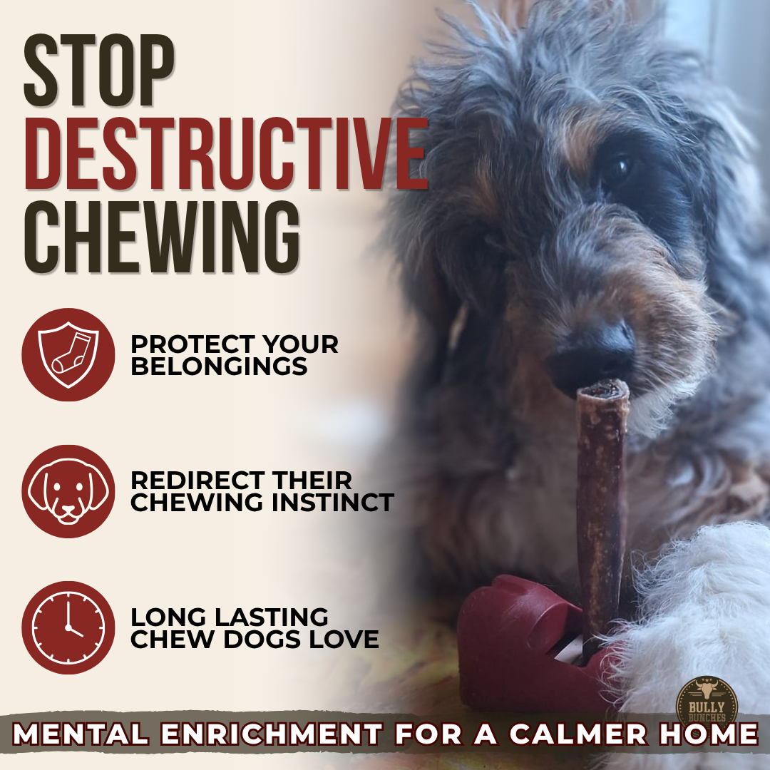 5-6 Inch Champion Chew-5