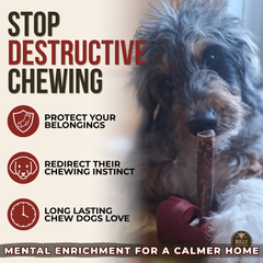 5-6 Inch Champion Chew-5