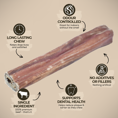 5-6 Inch Champion Chew-3