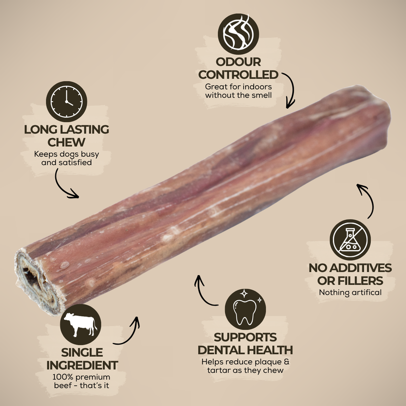 5-6 Inch Champion Chew-3