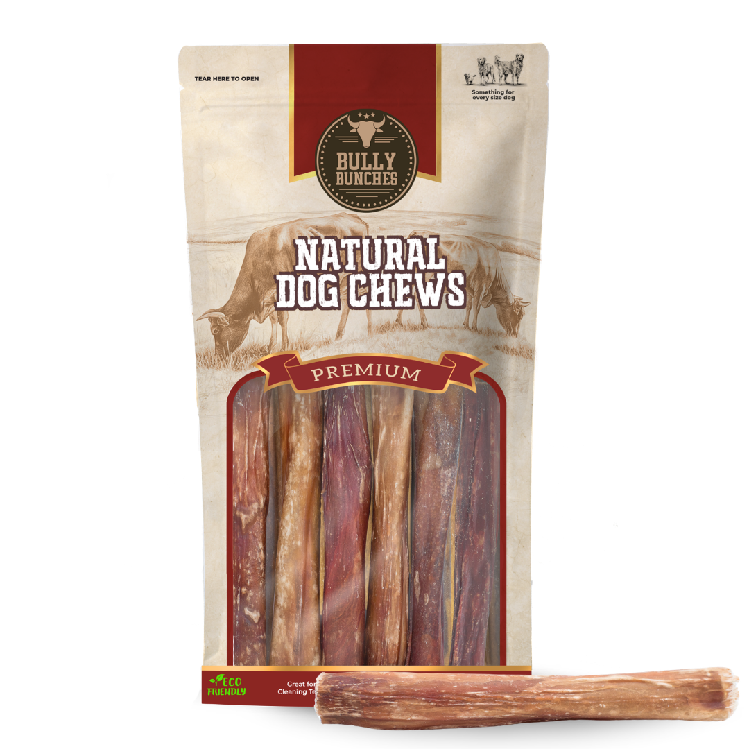 5-6 Inch Champion Chew-1