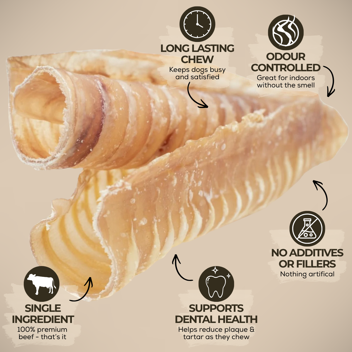 6 Inch Beef Trachea-3