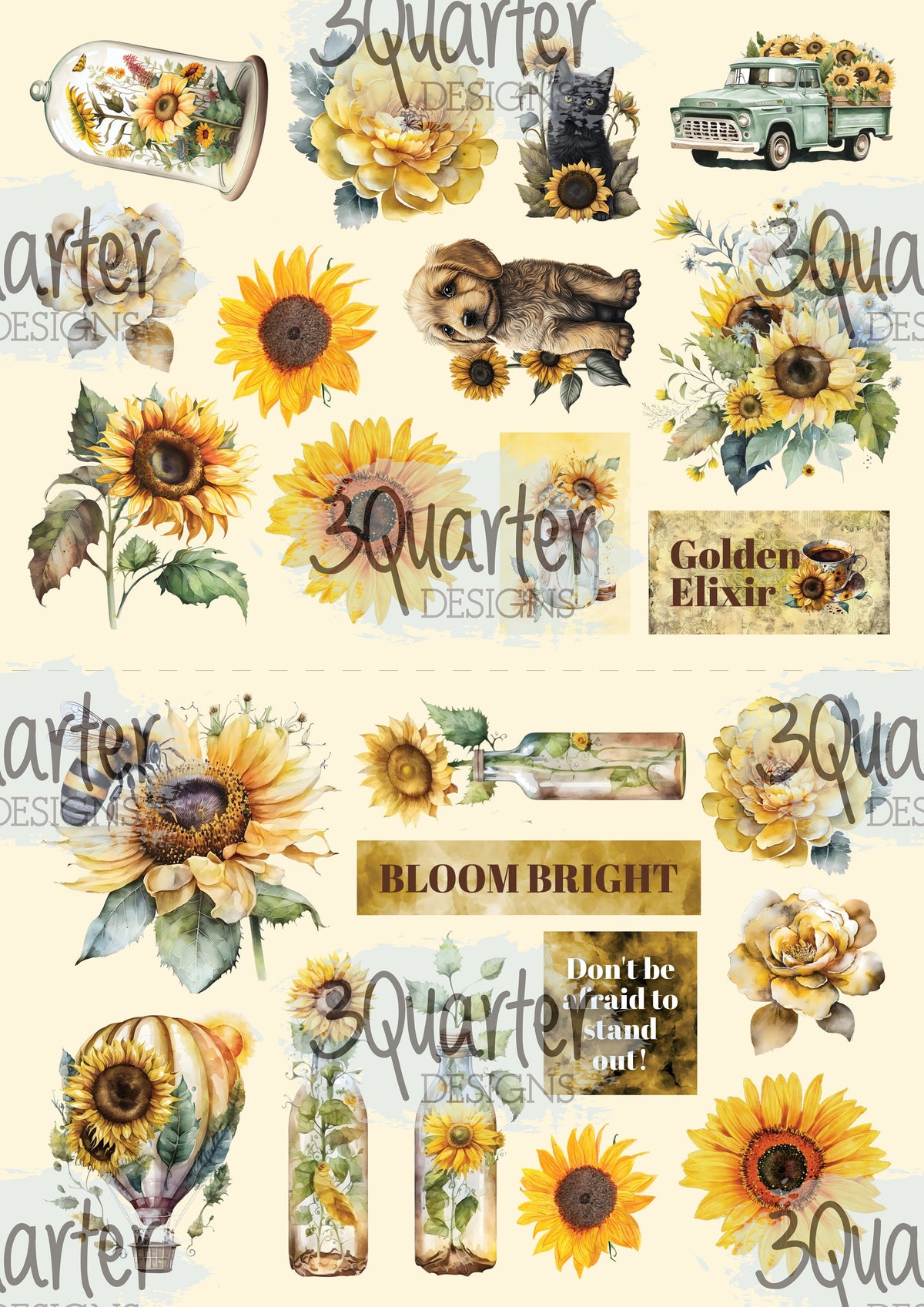 Pack de cartes Élixir de Tournesol 6x4-3