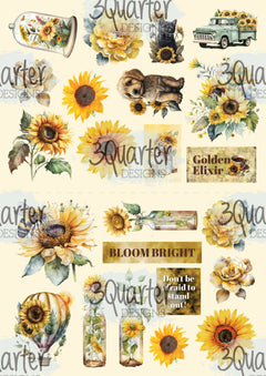 Pack de cartes Élixir de Tournesol 6x4-3